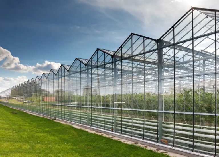 Polycarbonate Sheet Manufacturer