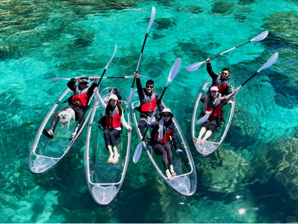 Navigate with a New Perspective: Polycarbonate Transparent Boats Open Up Underwater Realms